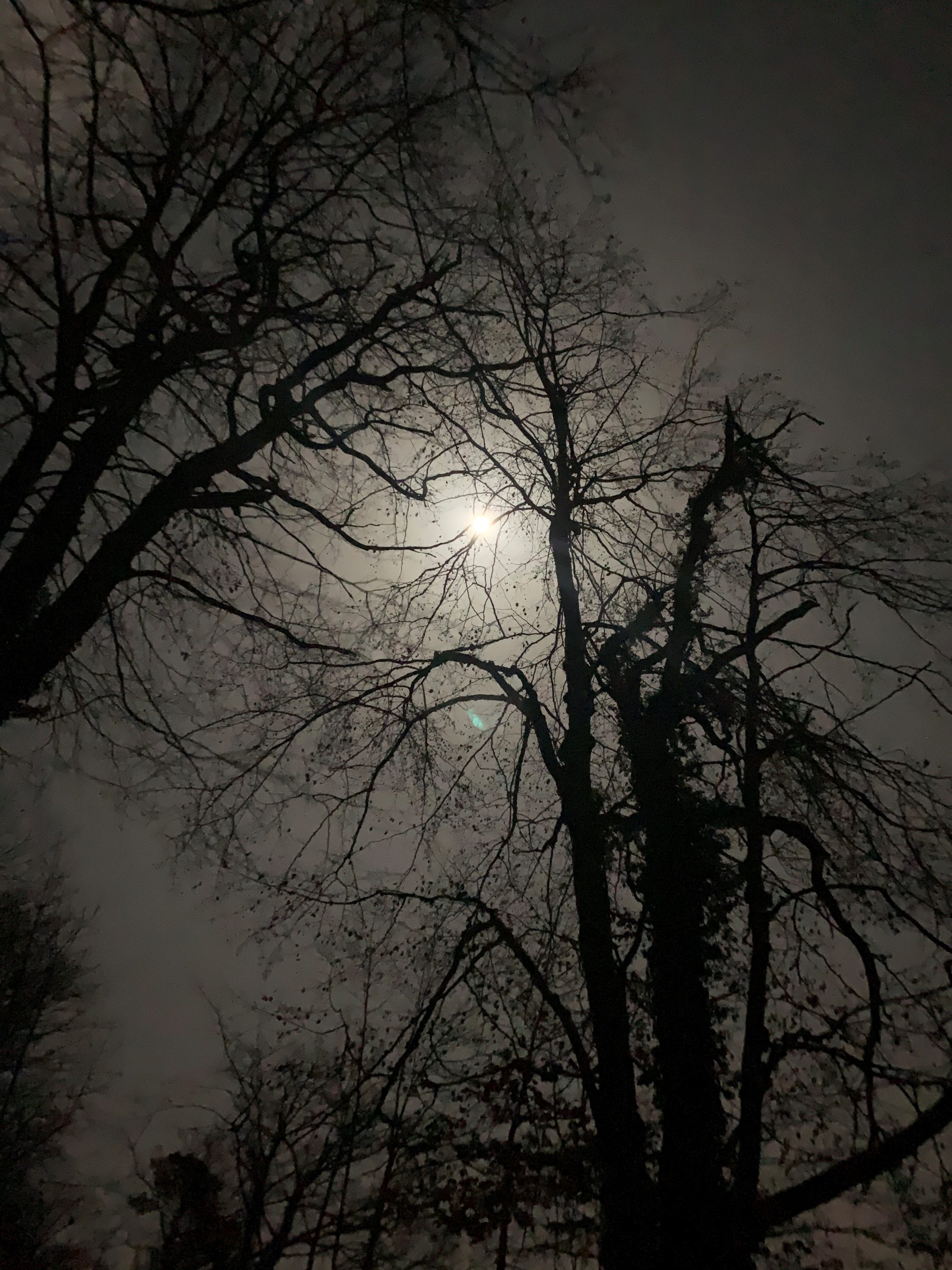 695e7e0e94494 bp cover image