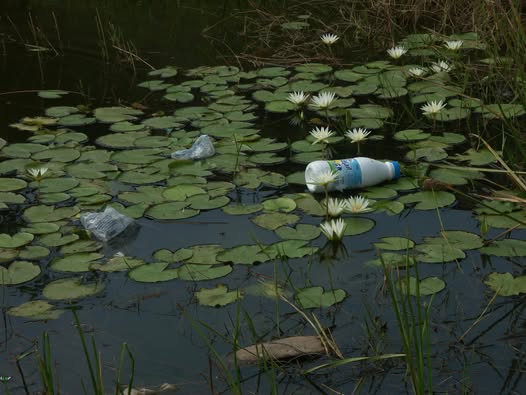 698c4cd3283bd bp cover image