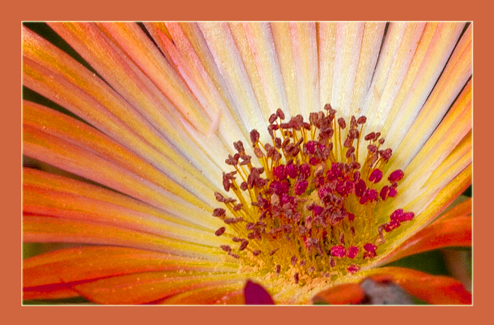 6964f4808fc8a bp cover image